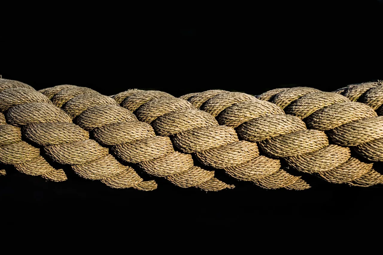 rope, cord, woven, leash, knitting, texture, closeup. Twelve jargon metaphors compared with the original fields they came from