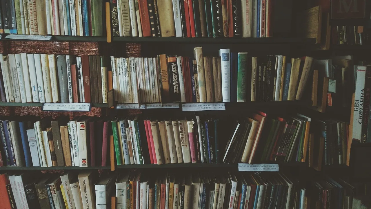 bookcases, books, bookshelves, knowledge, library, literature, novels, read, reading, bookworm, library, library, library, library, library. How a New York publisher reads your pitch: proposal, platform, comps, advance and rights