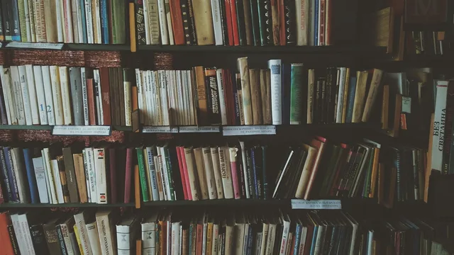 bookcases, books, bookshelves, knowledge, library, literature, novels, read, reading, bookworm, library, library, library, library, library. How a New York publisher reads your pitch: proposal, platform, comps, advance and rights